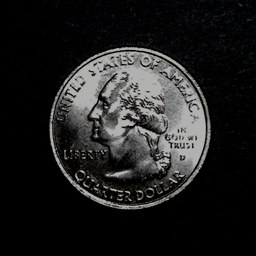 new quarter